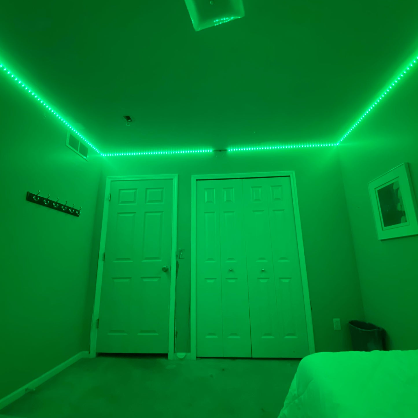 NebulaLED™ Room Lights